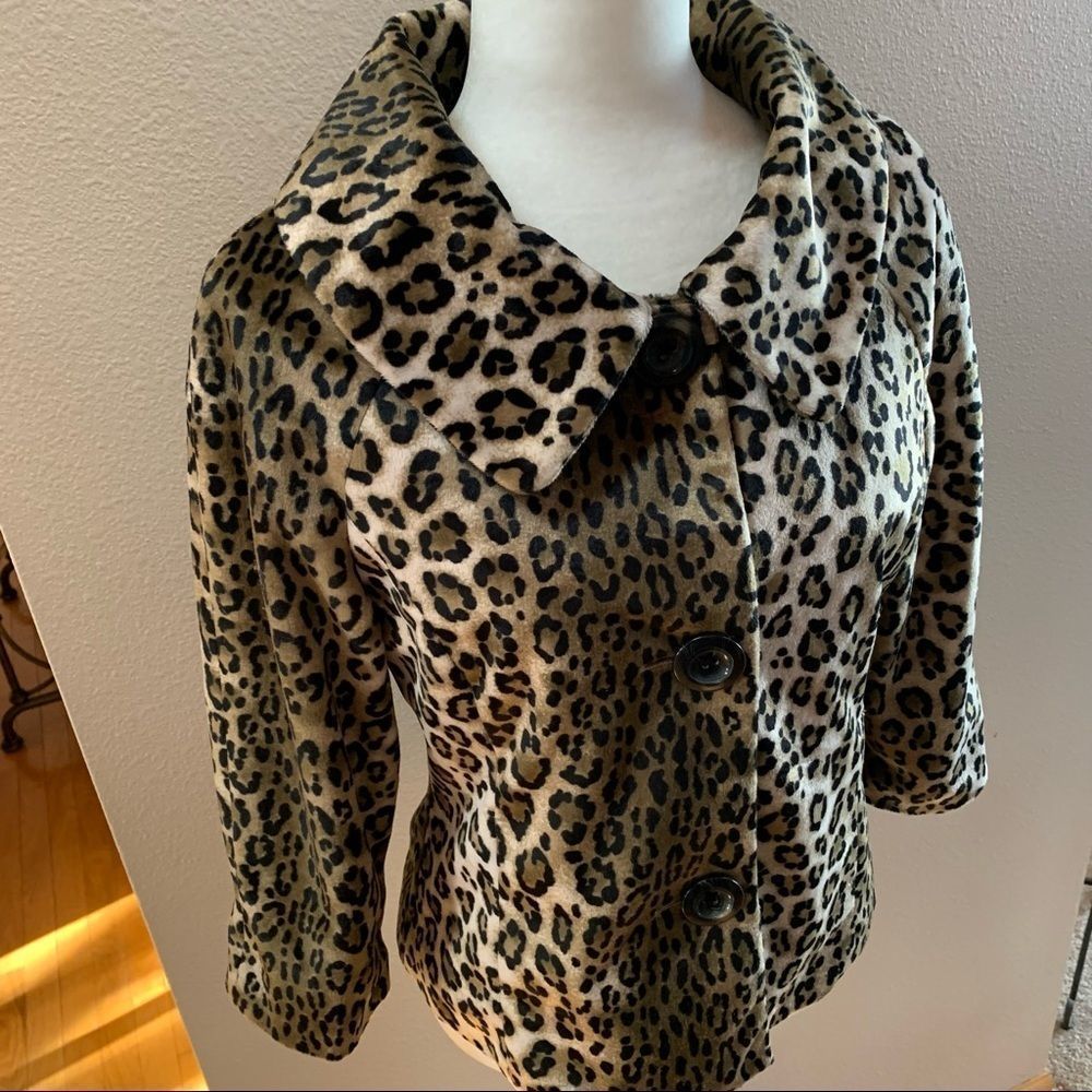 Rafaella Leopard Print Button-Front Jacket in Beige, Black and Brown - Picture 11 of 12